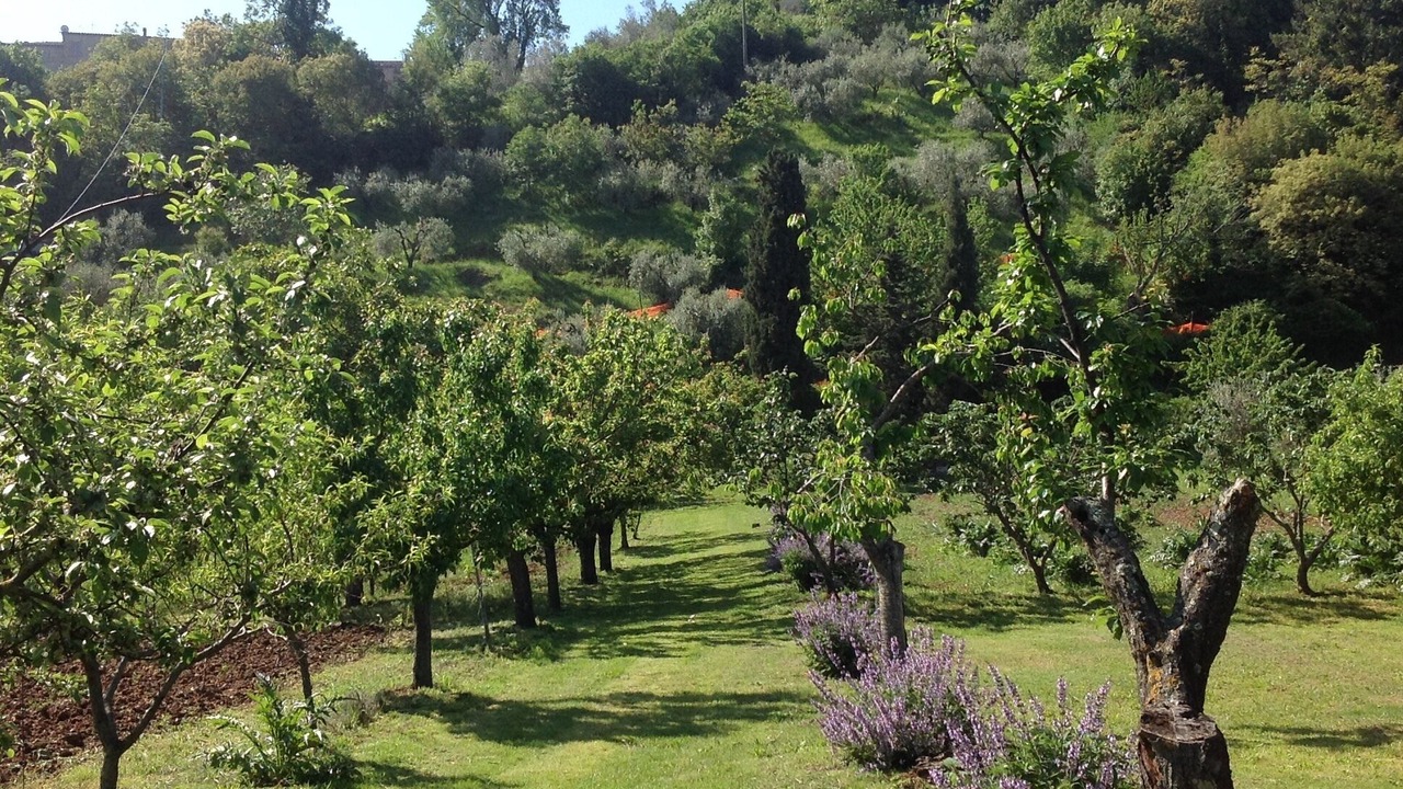 Photo of Outdoor in Radicondoli
