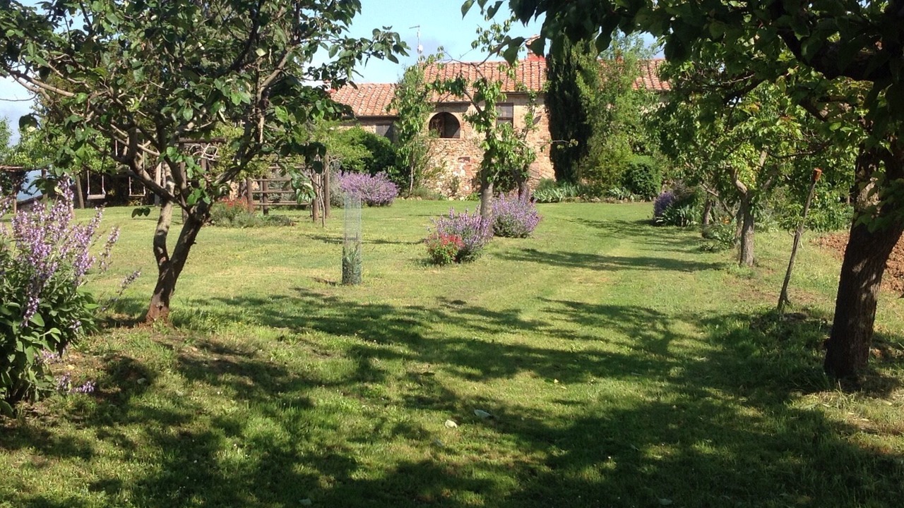 Photo of Outdoor in Radicondoli