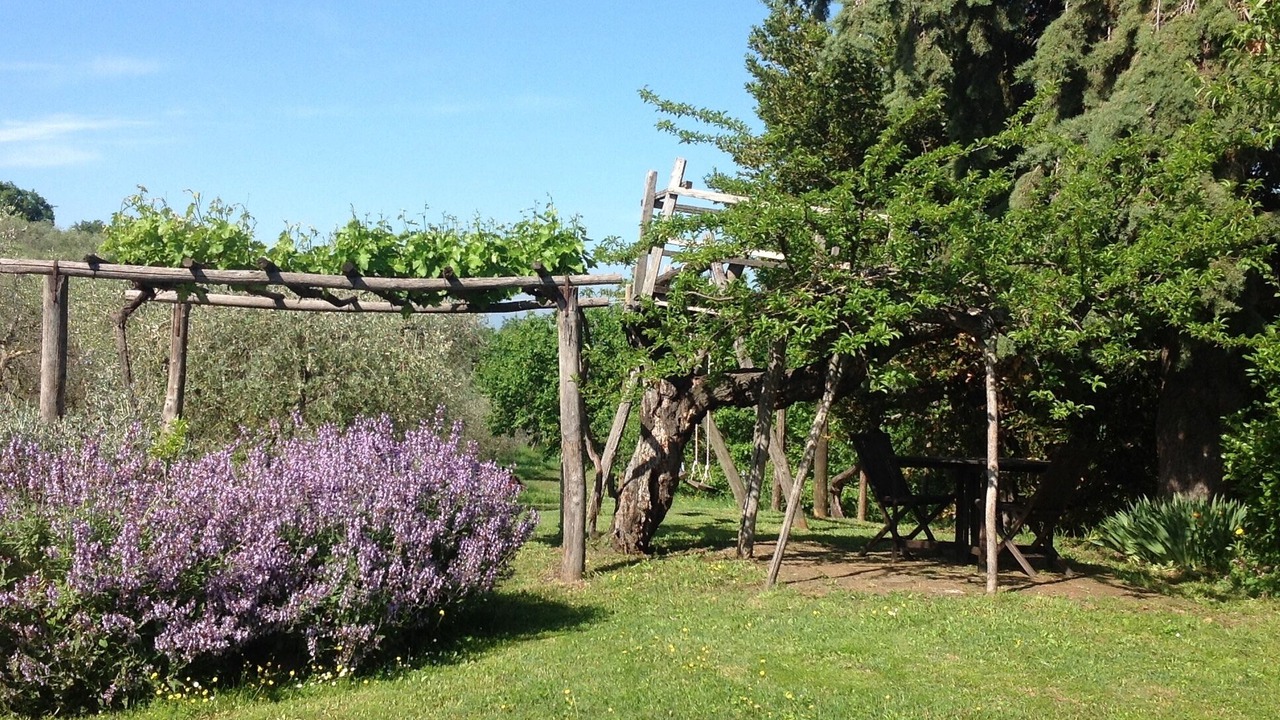 Photo of Outdoor in Radicondoli
