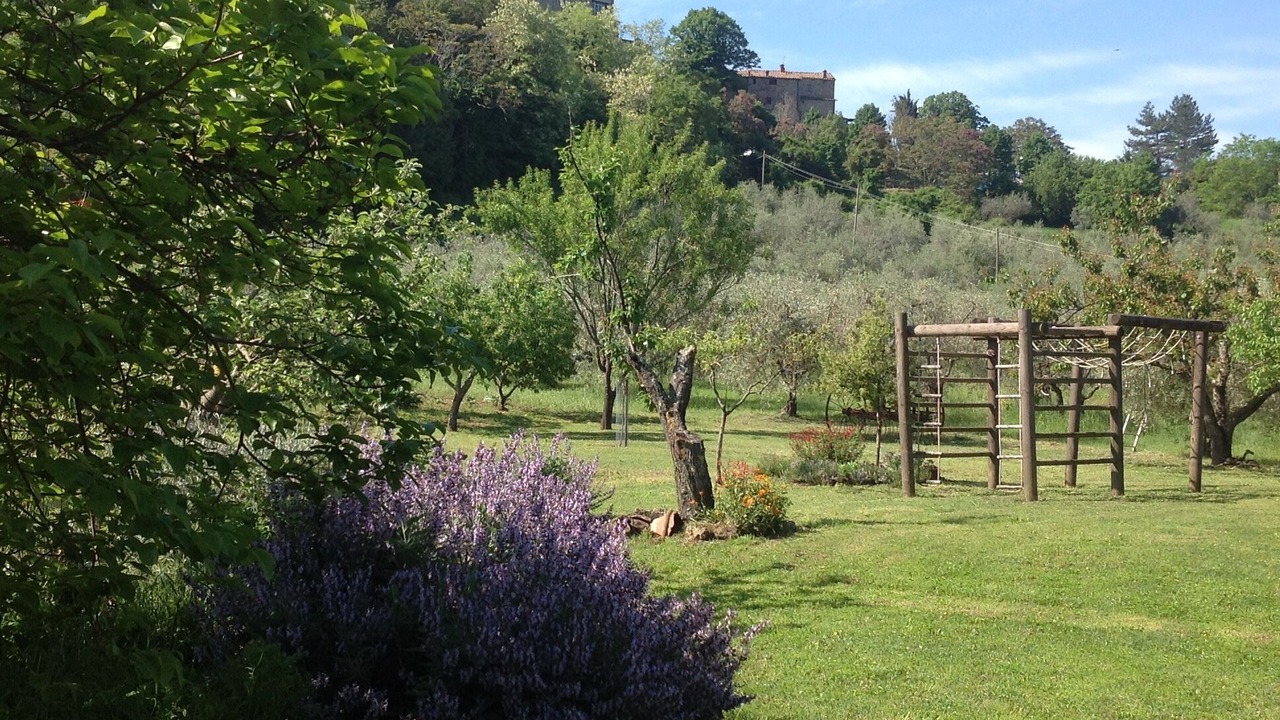 Photo of Outdoor in Radicondoli