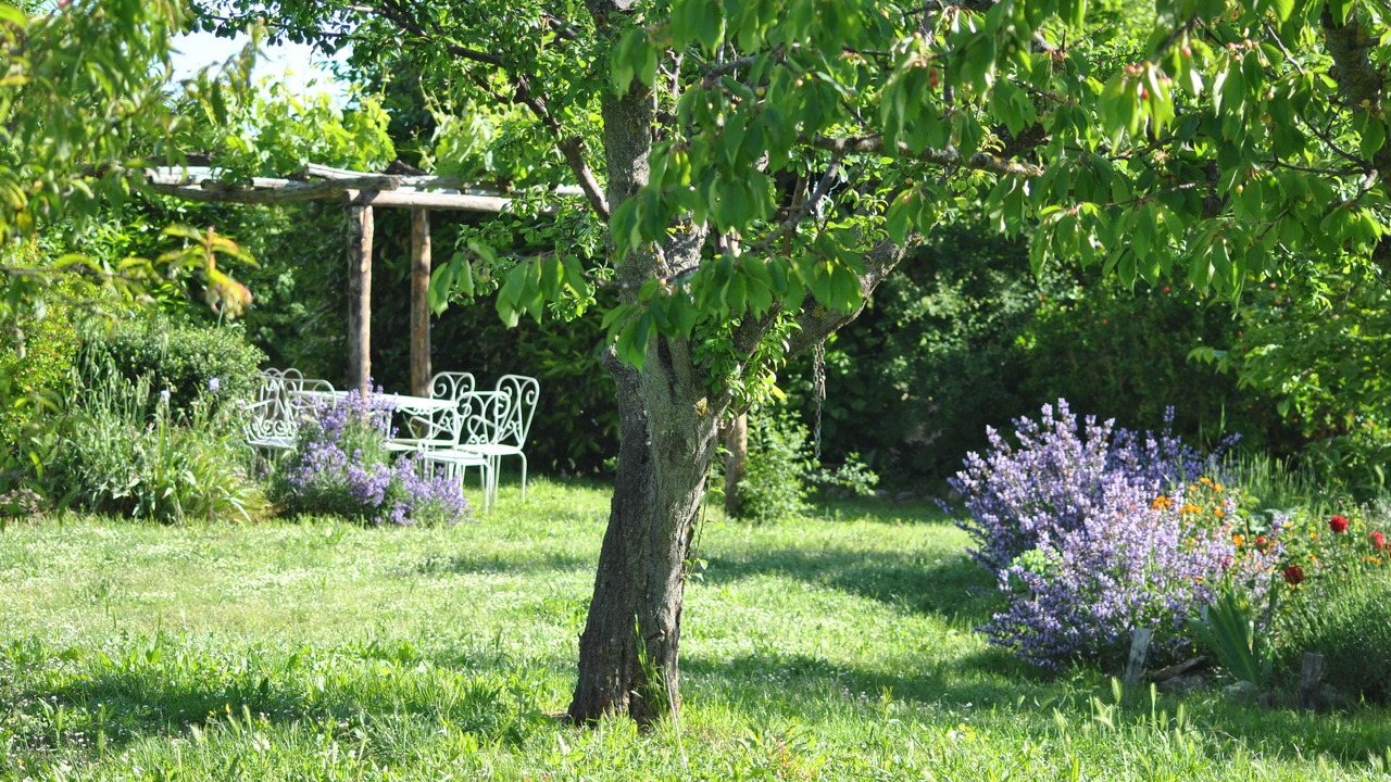 Photo of Outdoor in Radicondoli