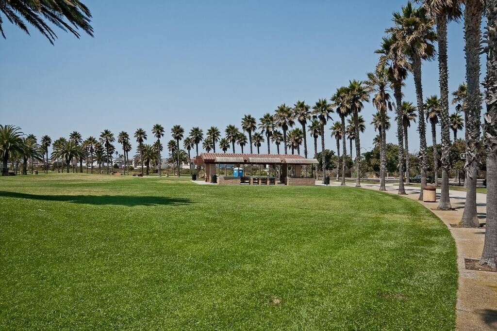 Photo of Others in Oxnard Dunes