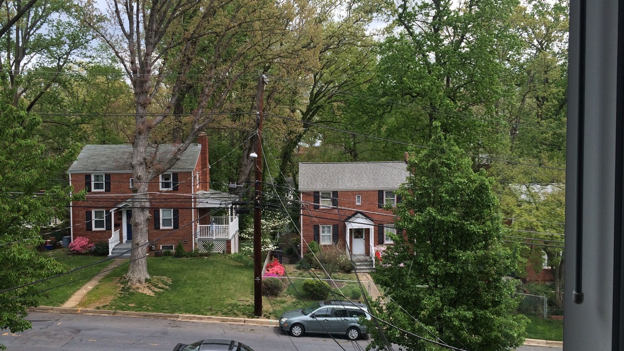Photo of Outdoor in Silver Spring