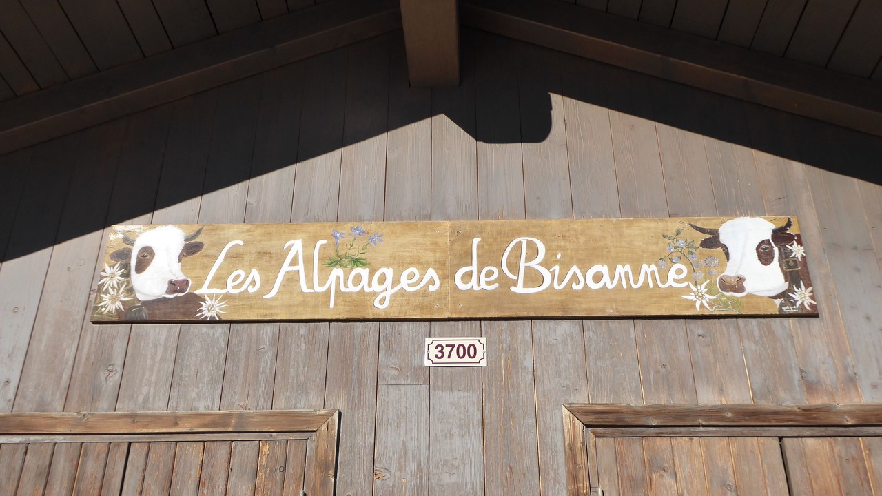Photo of Outdoor in Bisanne 1500