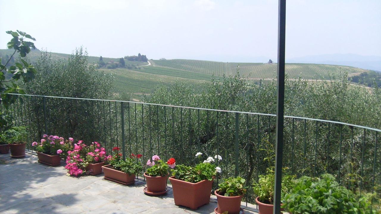 Photo of Outdoor in Twist