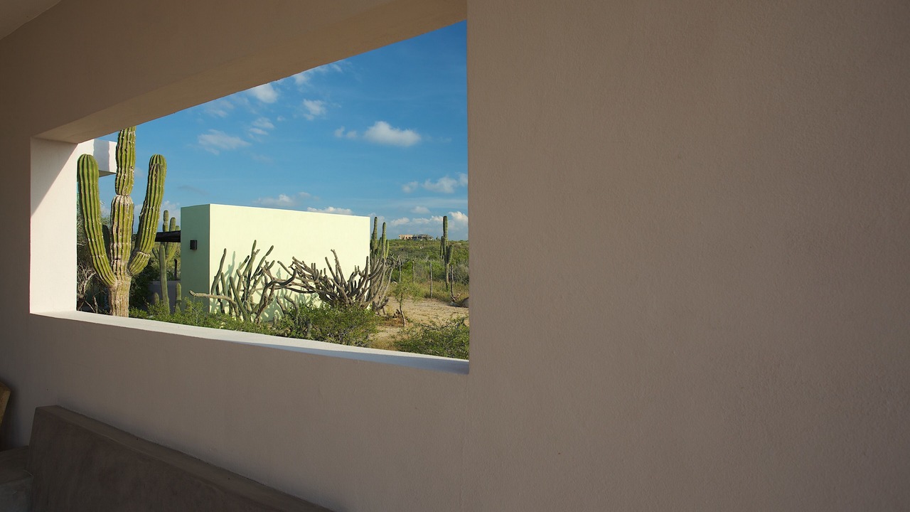 Photo of Others in Todos Santos