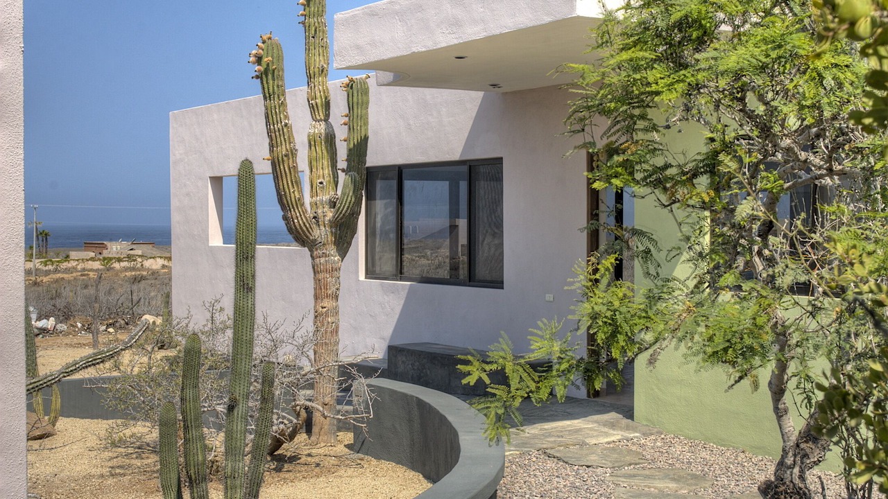 Photo of Outdoor in Todos Santos