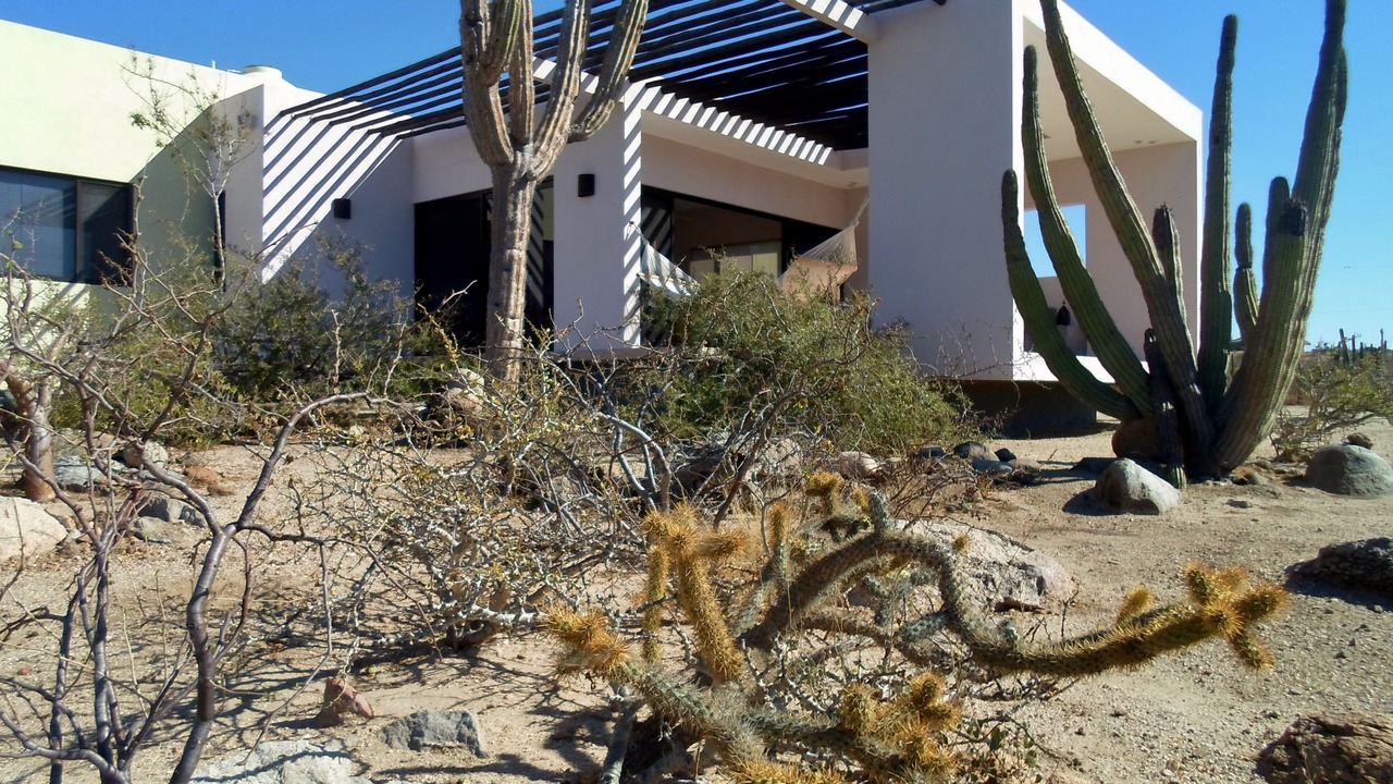 Photo of Others in Todos Santos