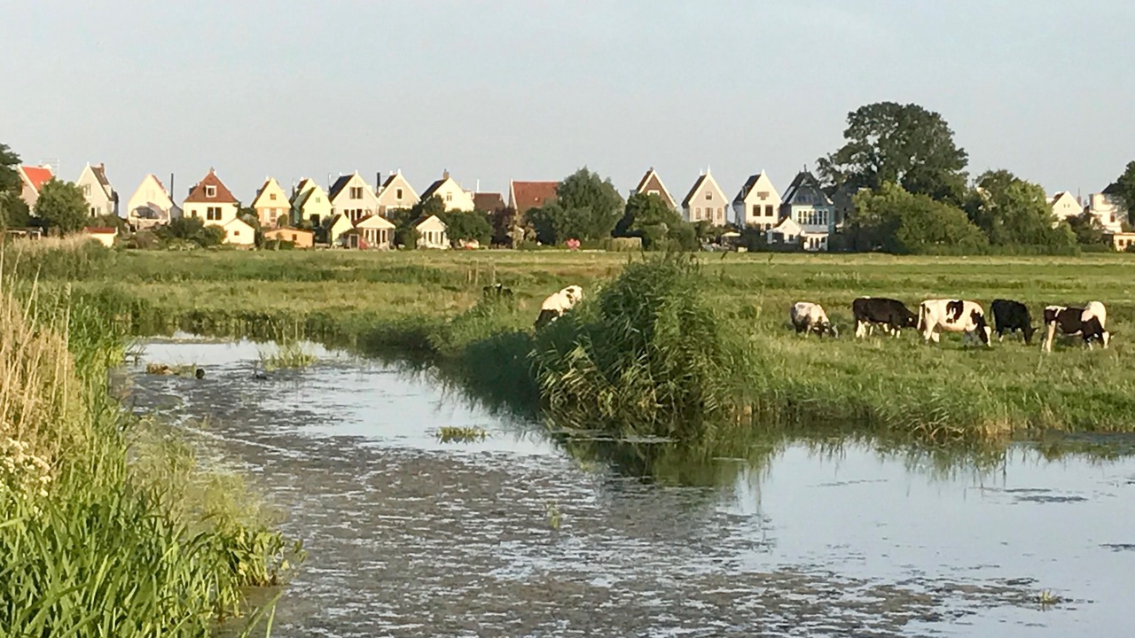 Photo of Others in Amsterdam North