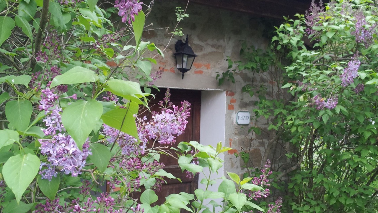 Photo of Outdoor in Castelfranco di Sopra