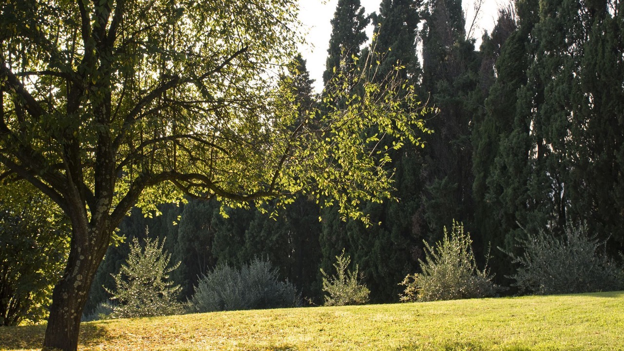 Photo of Others in Volterra