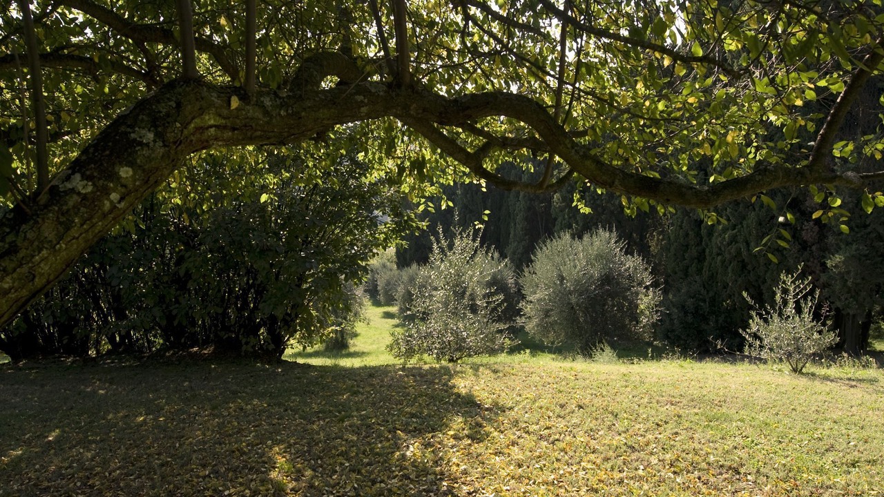 Photo of Others in Volterra