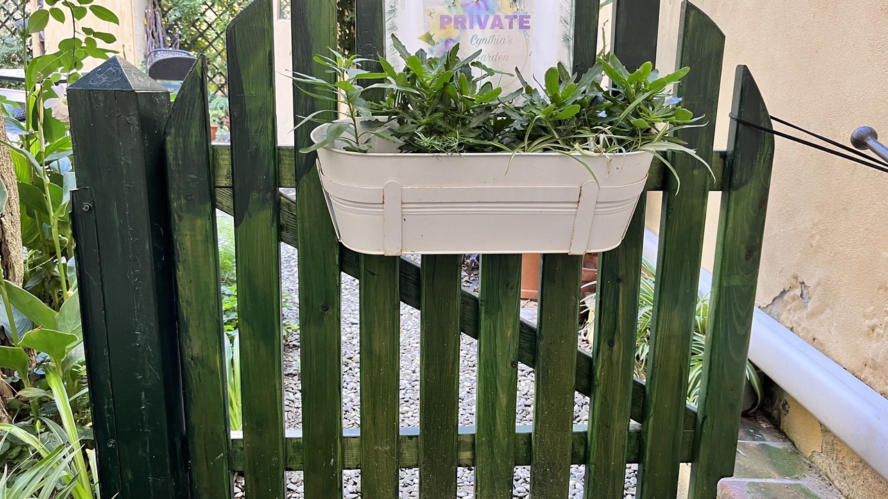 Photo of Outdoor in Santa Croce