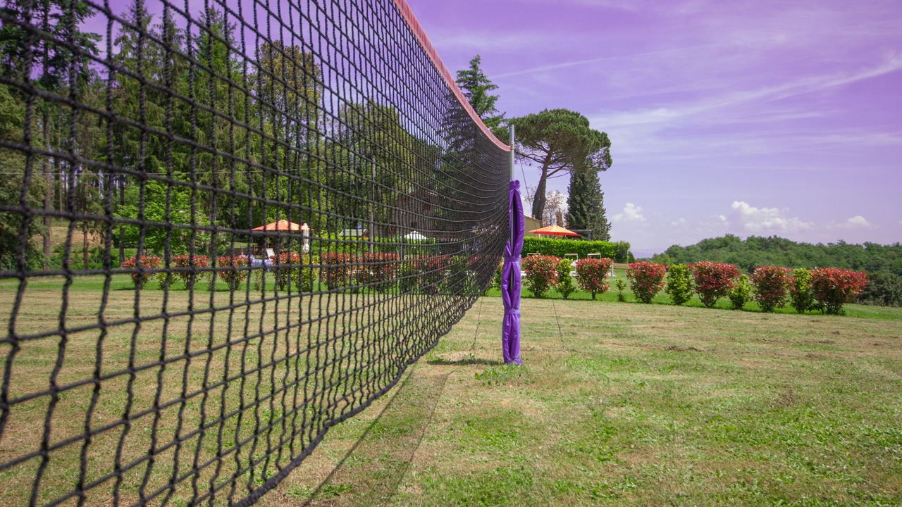 Photo of Others in Montegrossi