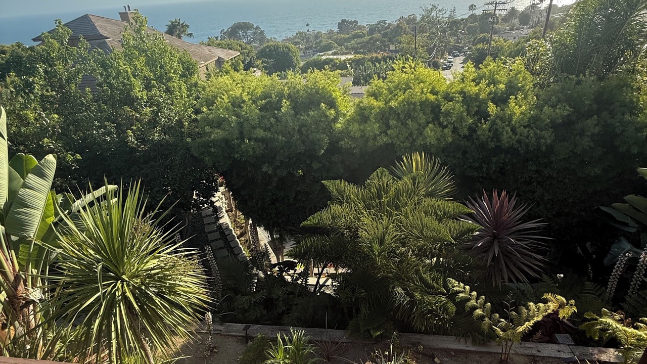 Photo of Outdoor in South Laguna