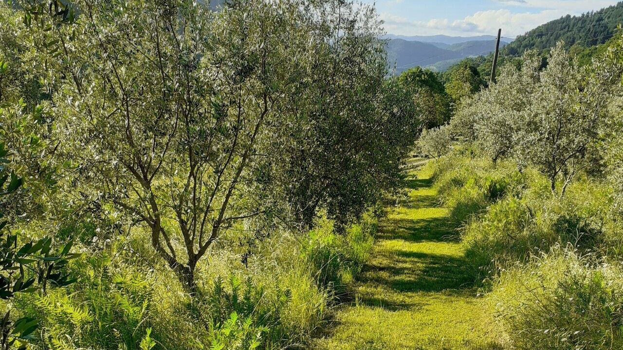 Photo of Outdoor in Londa