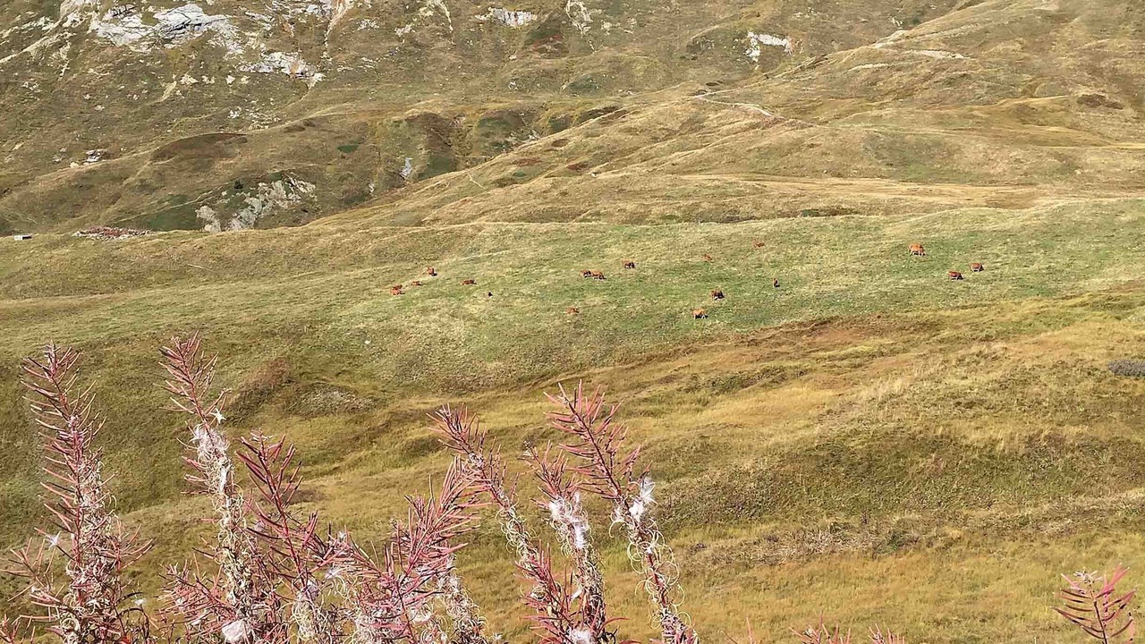 Photo of Outdoor in Hauteluce