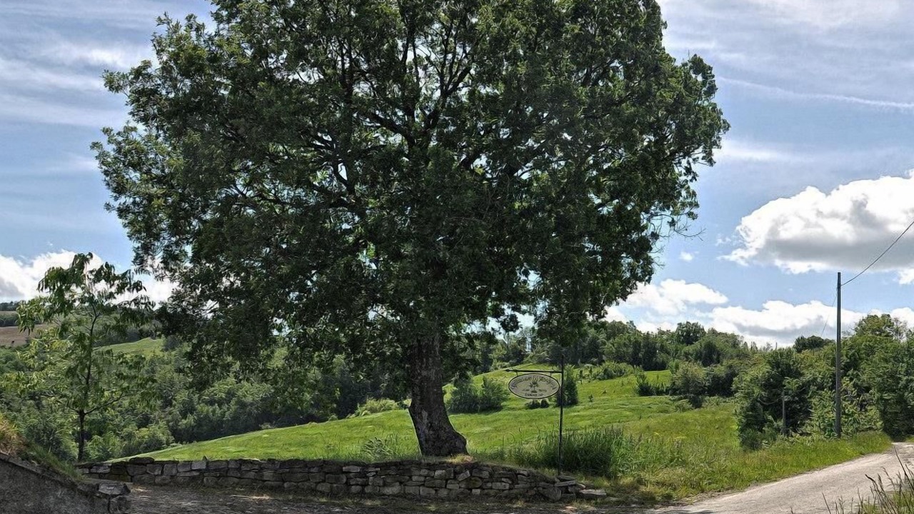 Photo of Outdoor in Savigno
