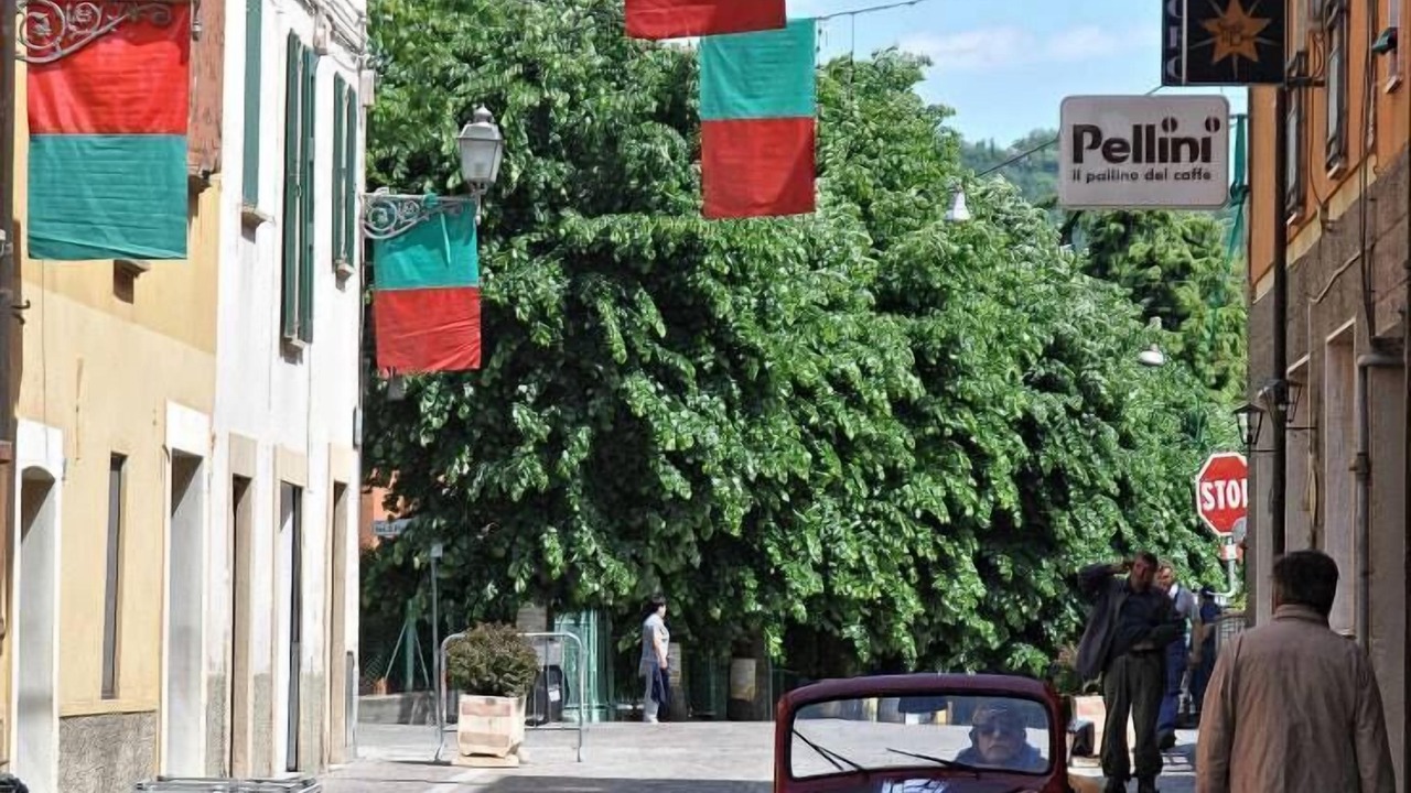 Photo of Others in Savigno