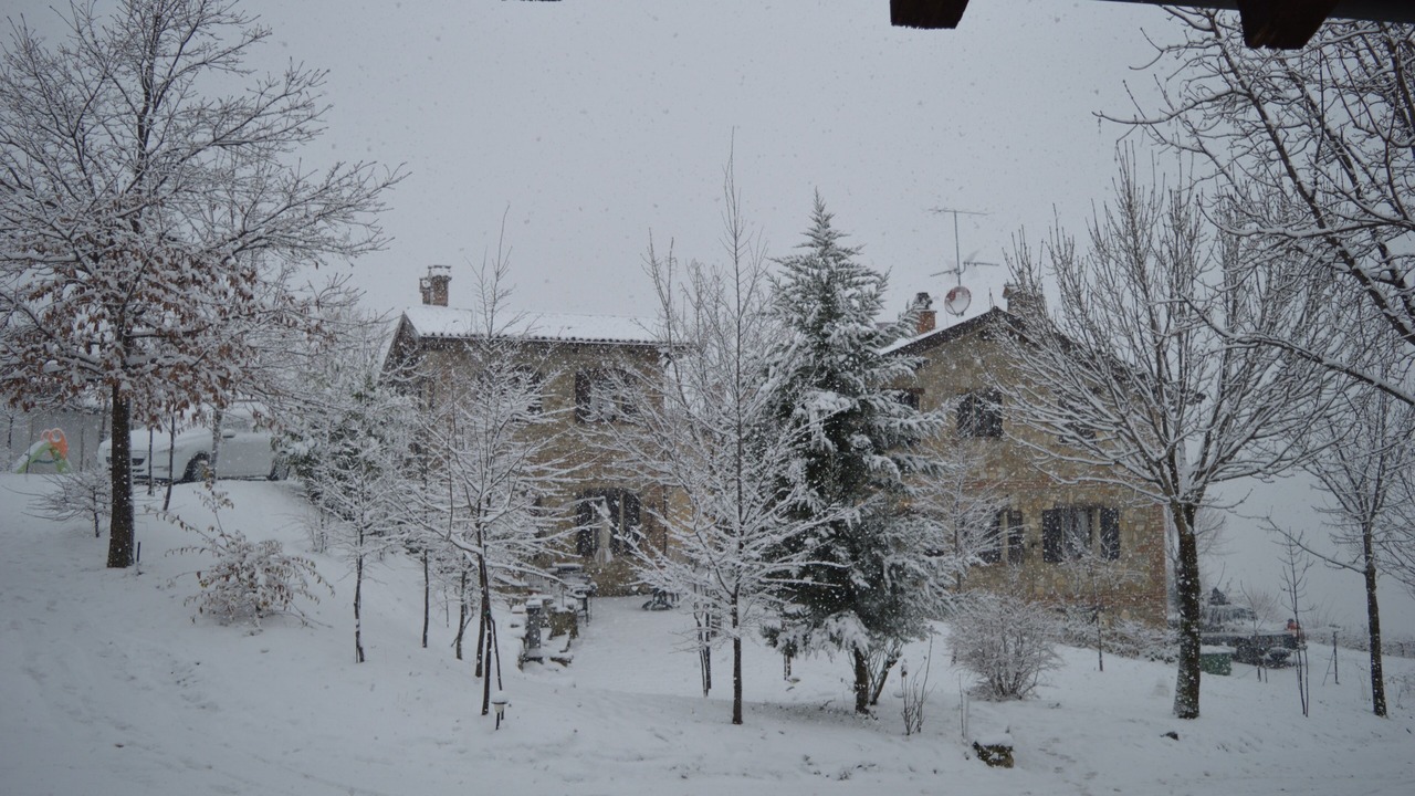 Photo of Outdoor in Savigno