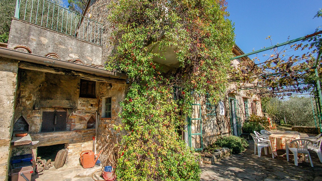 Photo of Outdoor in Buti