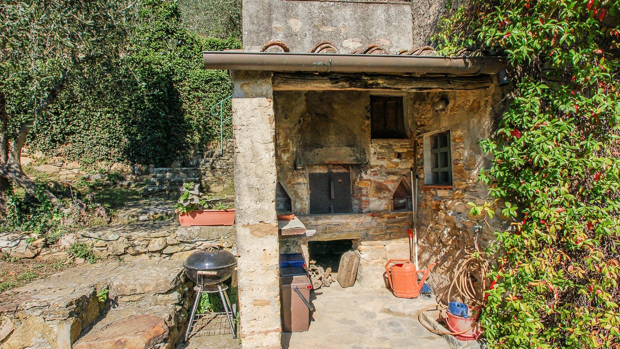 Photo of Outdoor in Buti