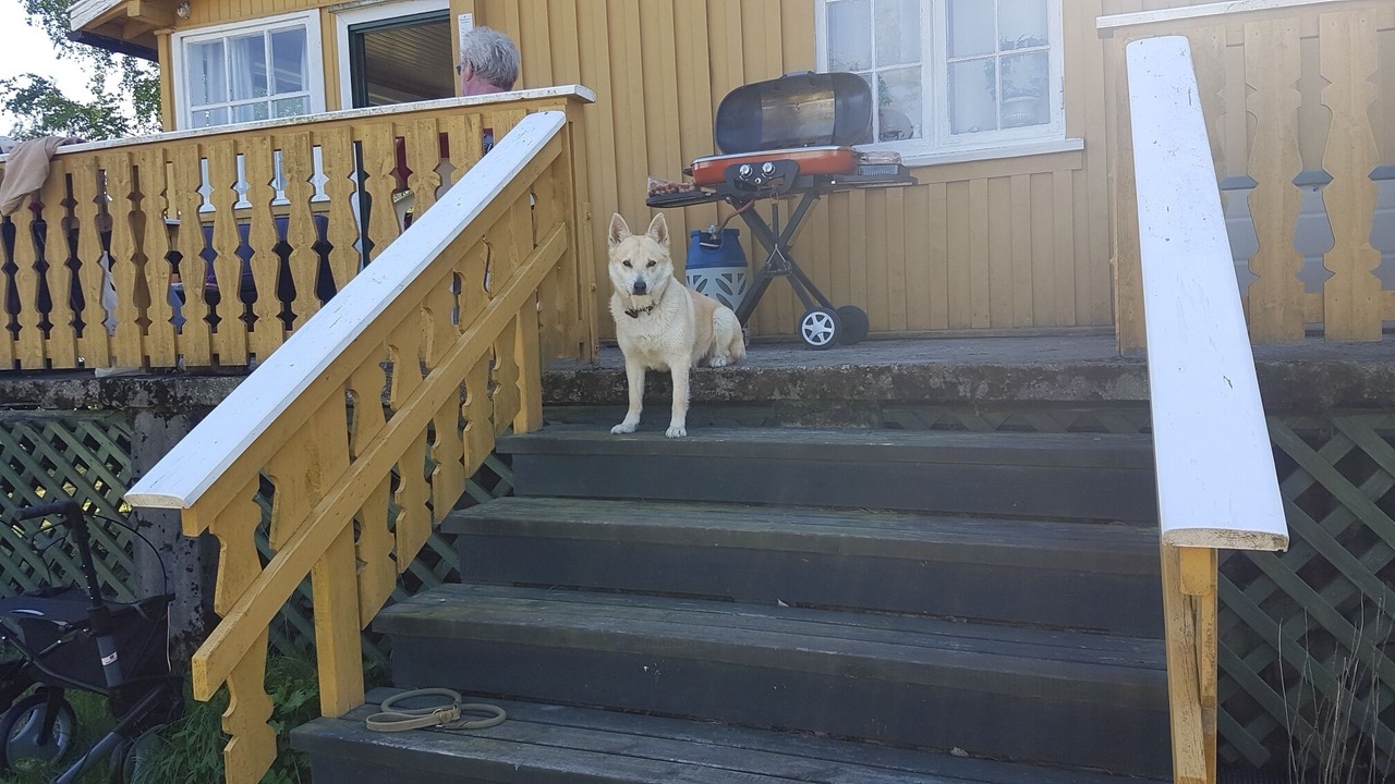 Photo of Patio Balcony in Hemnes kommune