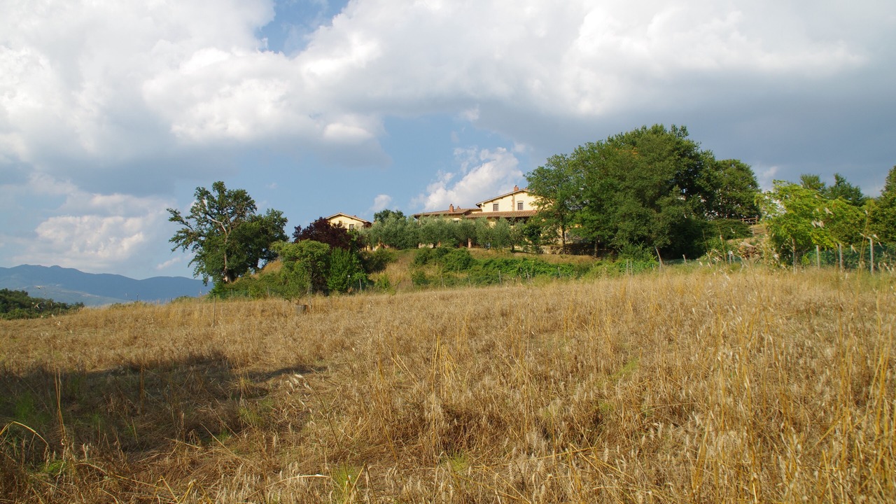 Photo of Outdoor in Pergine Valdarno