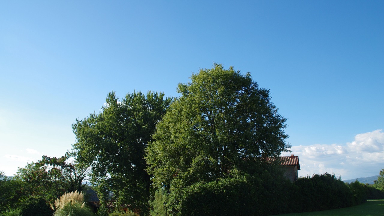 Photo of Others in Pergine Valdarno
