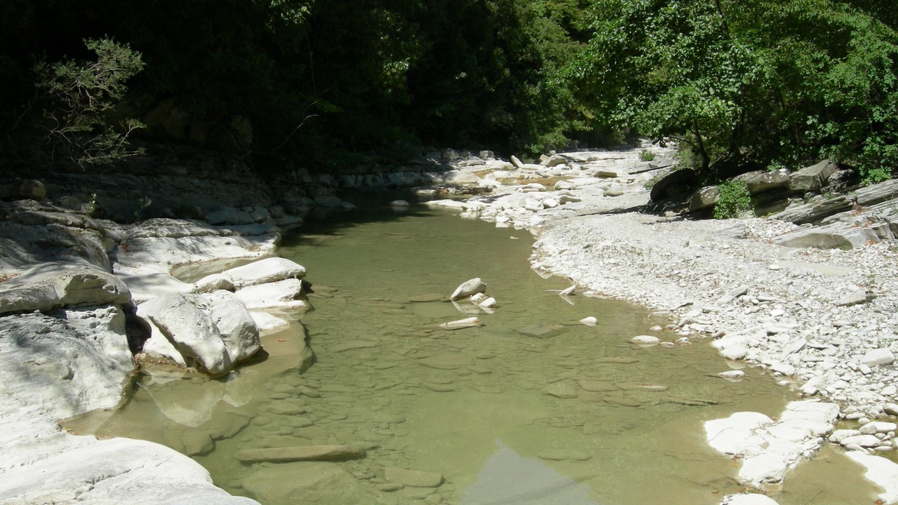 Photo of Others in Castagnara