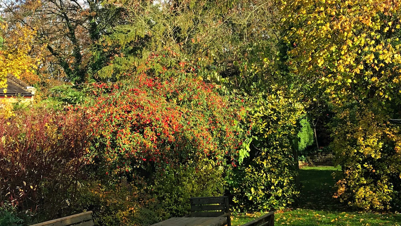 Photo of Outdoor in Whichford
