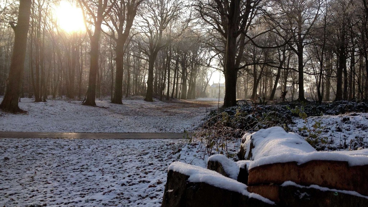 Photo of Others in Heiloo