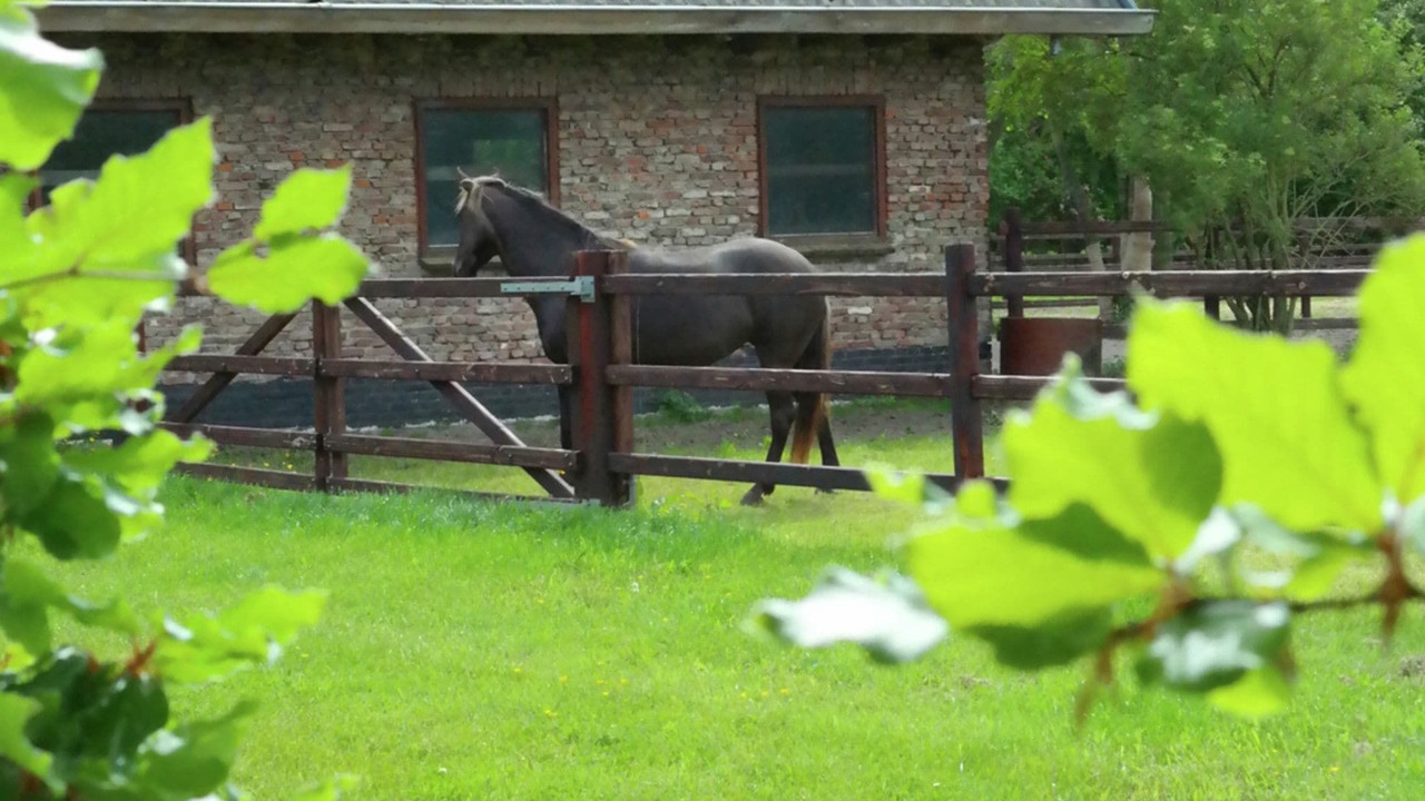 Photo of Others in Heiloo