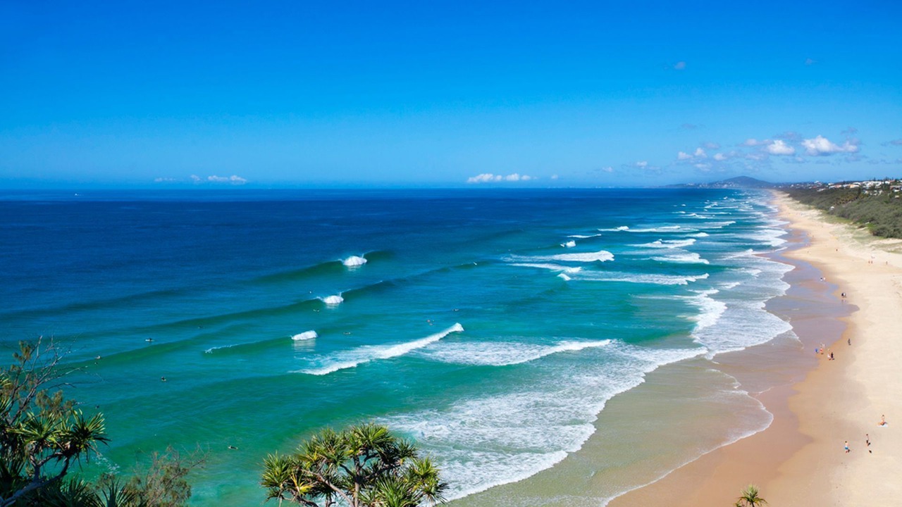 Photo of Others in Sunshine Beach