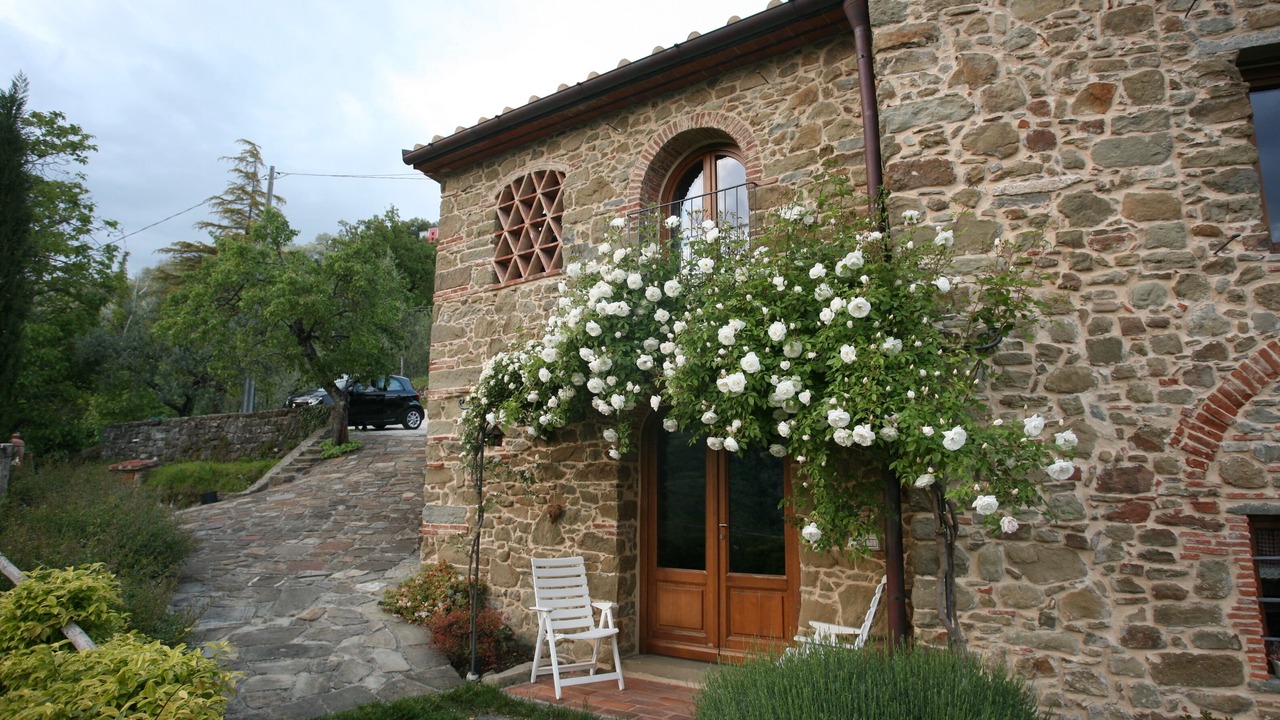 Photo of Outdoor in Saturnana