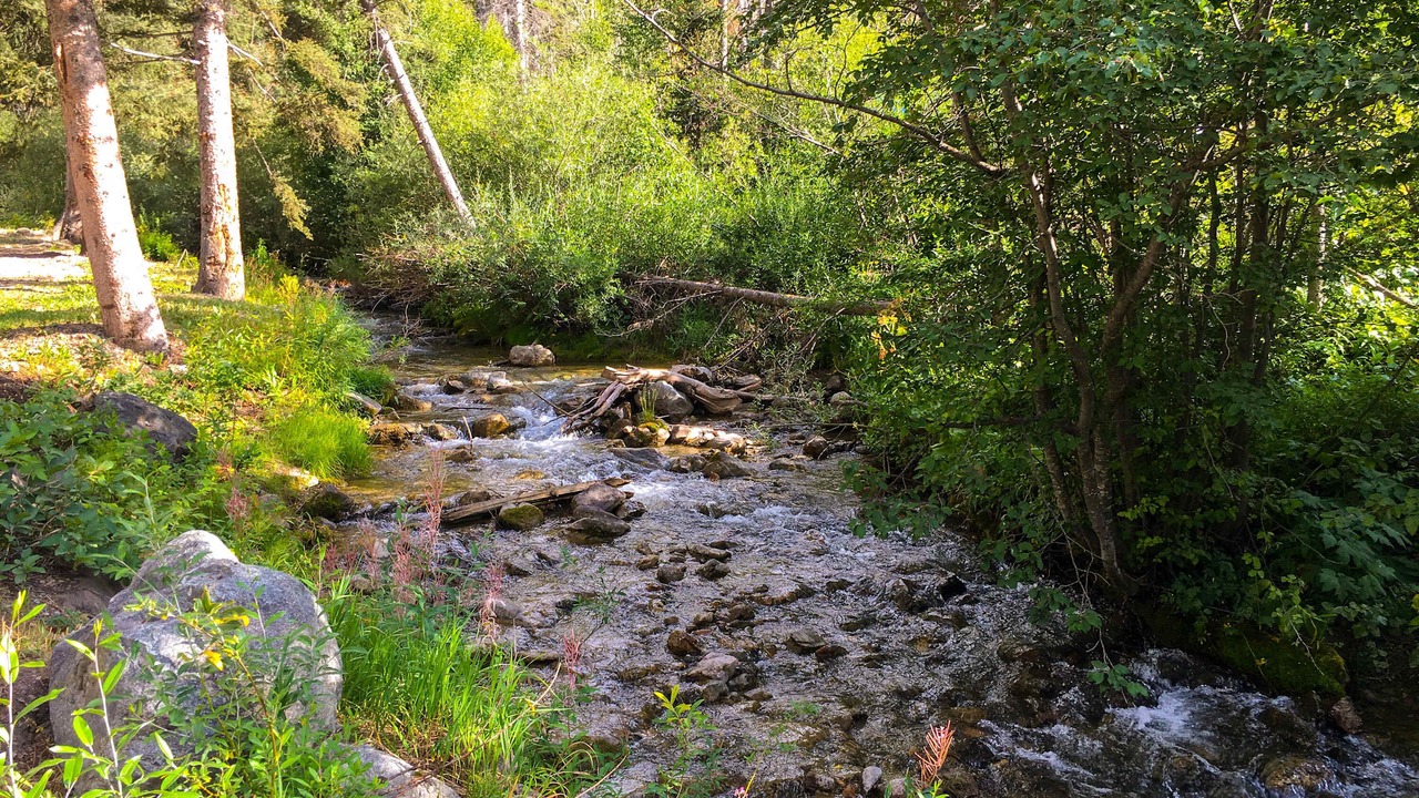 Photo of Others in Taos Ski Valley