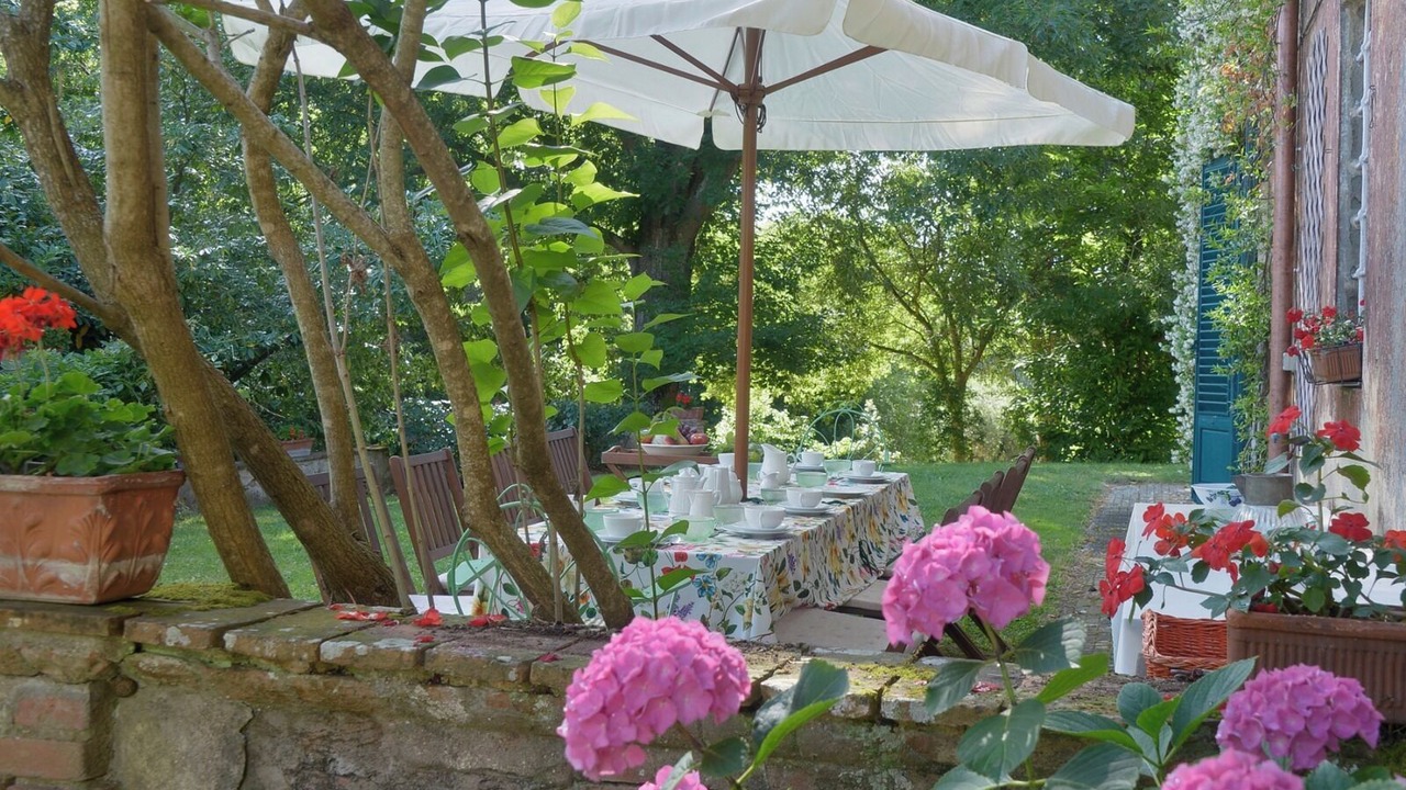 Photo of Outdoor in Fauglia