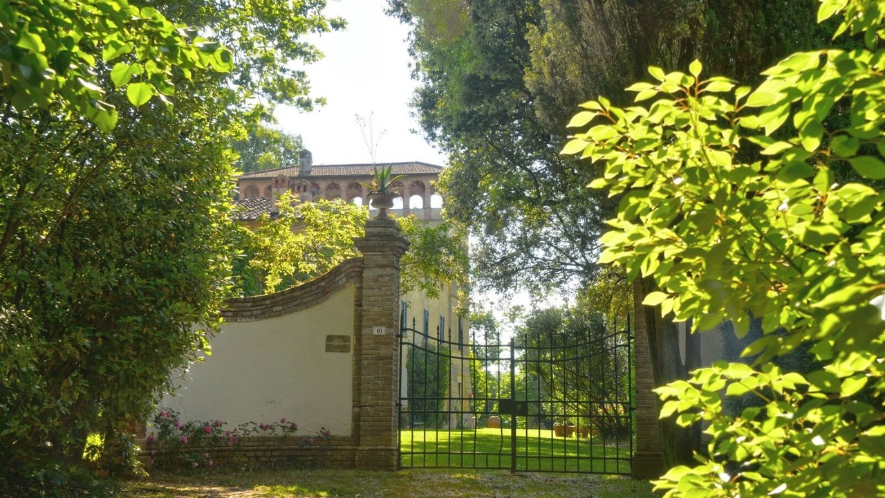 Photo of Outdoor in Fauglia
