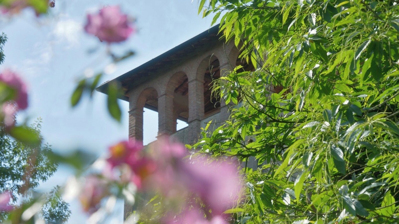 Photo of Outdoor in Fauglia