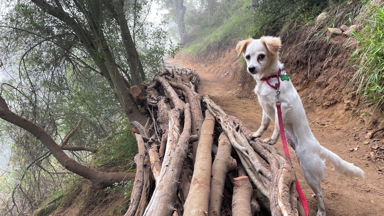 Photo of Others in Topanga