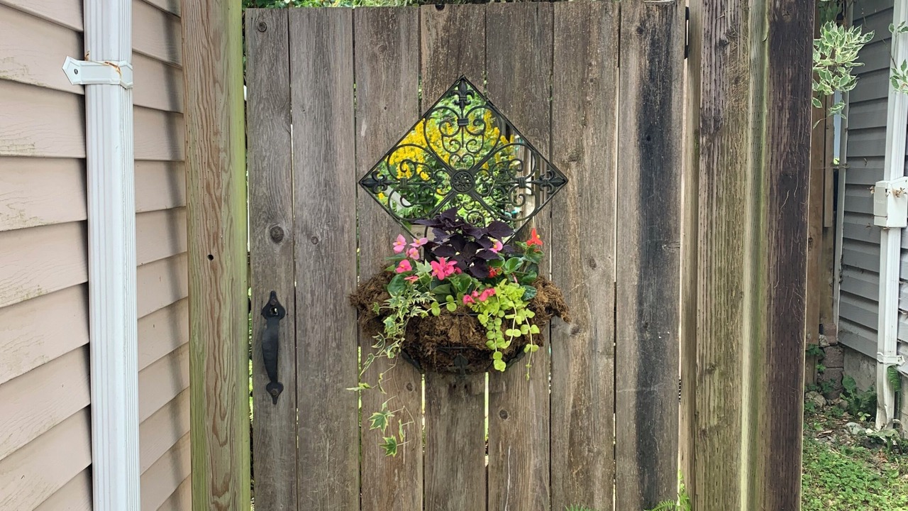 Photo of Outdoor in Lynn Valley