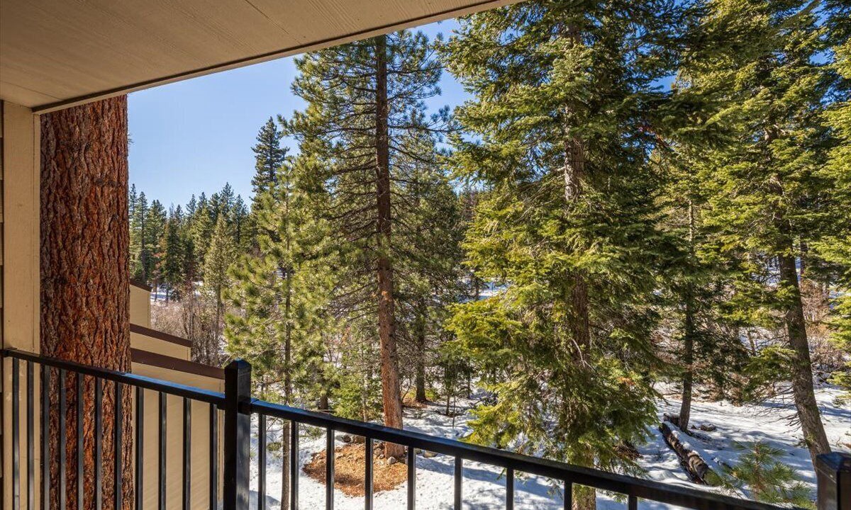 Photo of Outdoor in Carnelian Woods