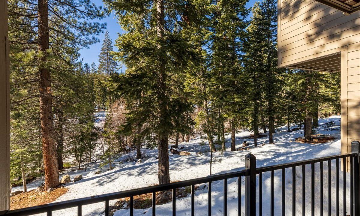 Photo of Outdoor in Carnelian Woods
