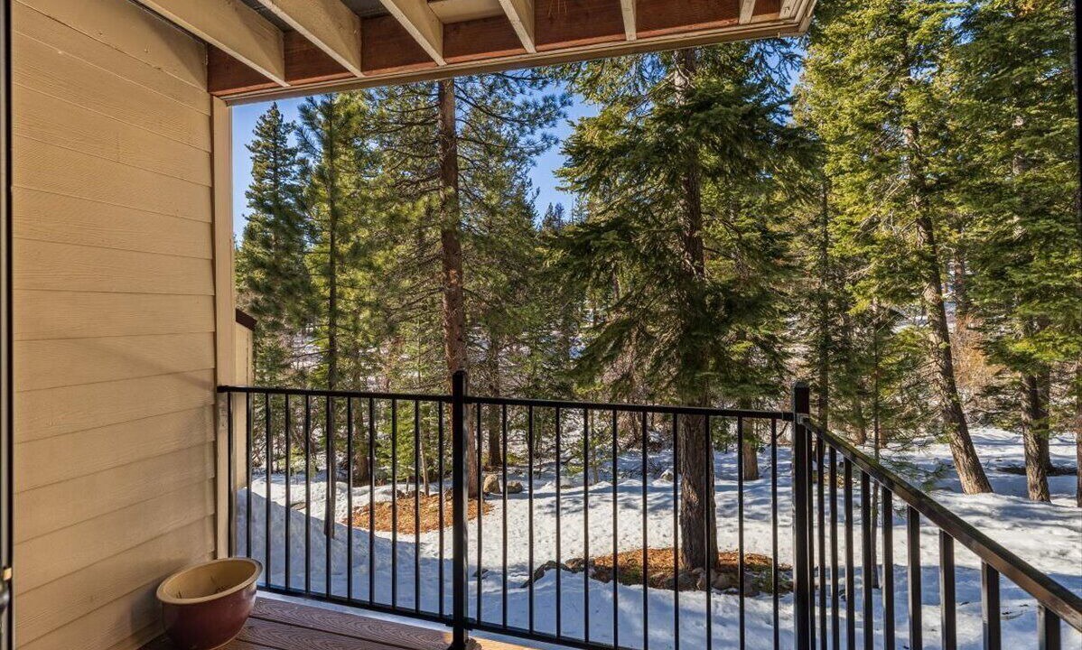 Photo of Outdoor in Carnelian Woods