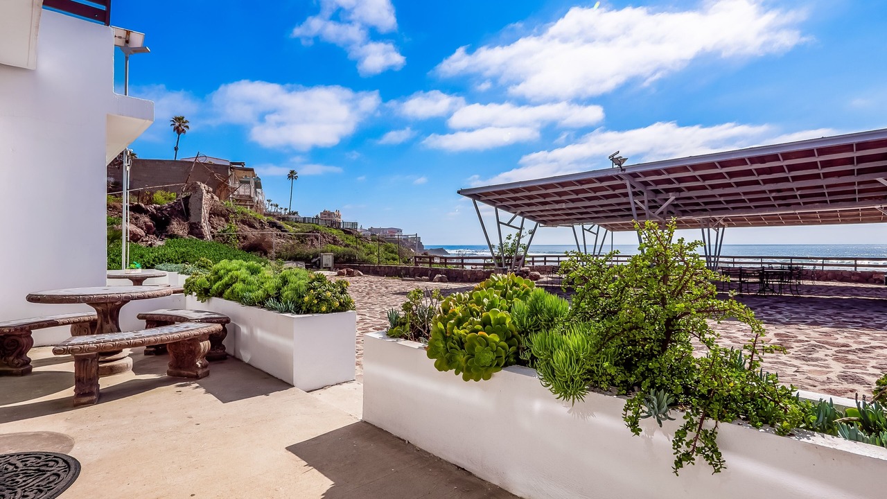 Photo of Outdoor in La Paloma