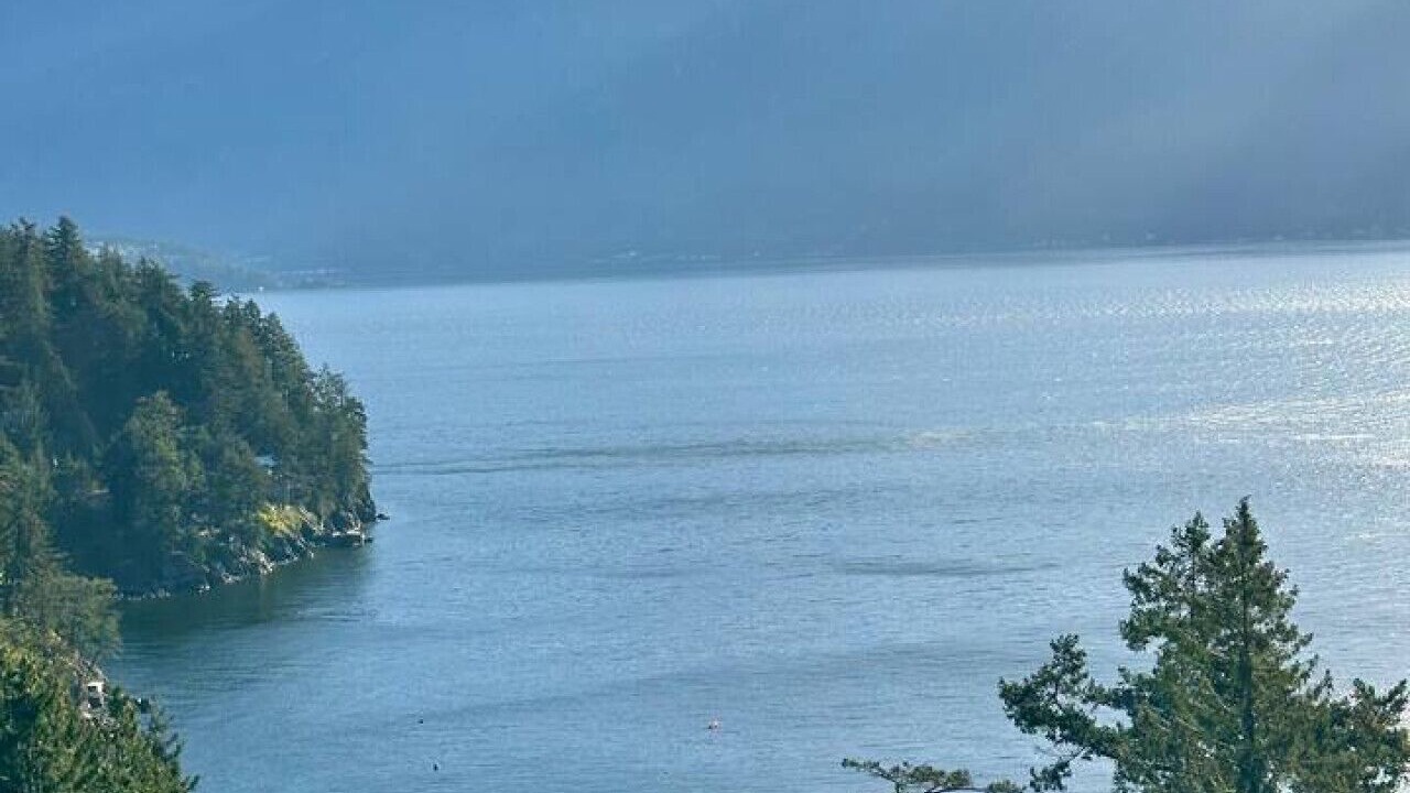 Photo of Others in Bowen Island