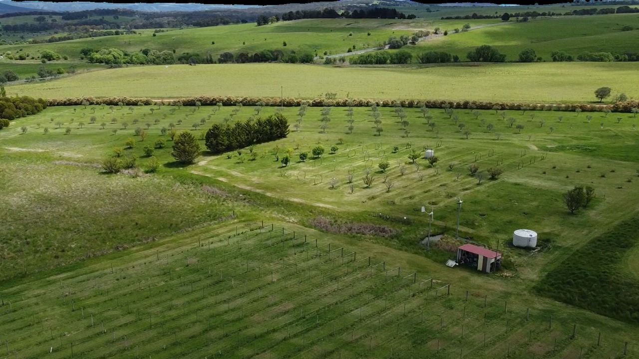 Photo of Outdoor in Currawang