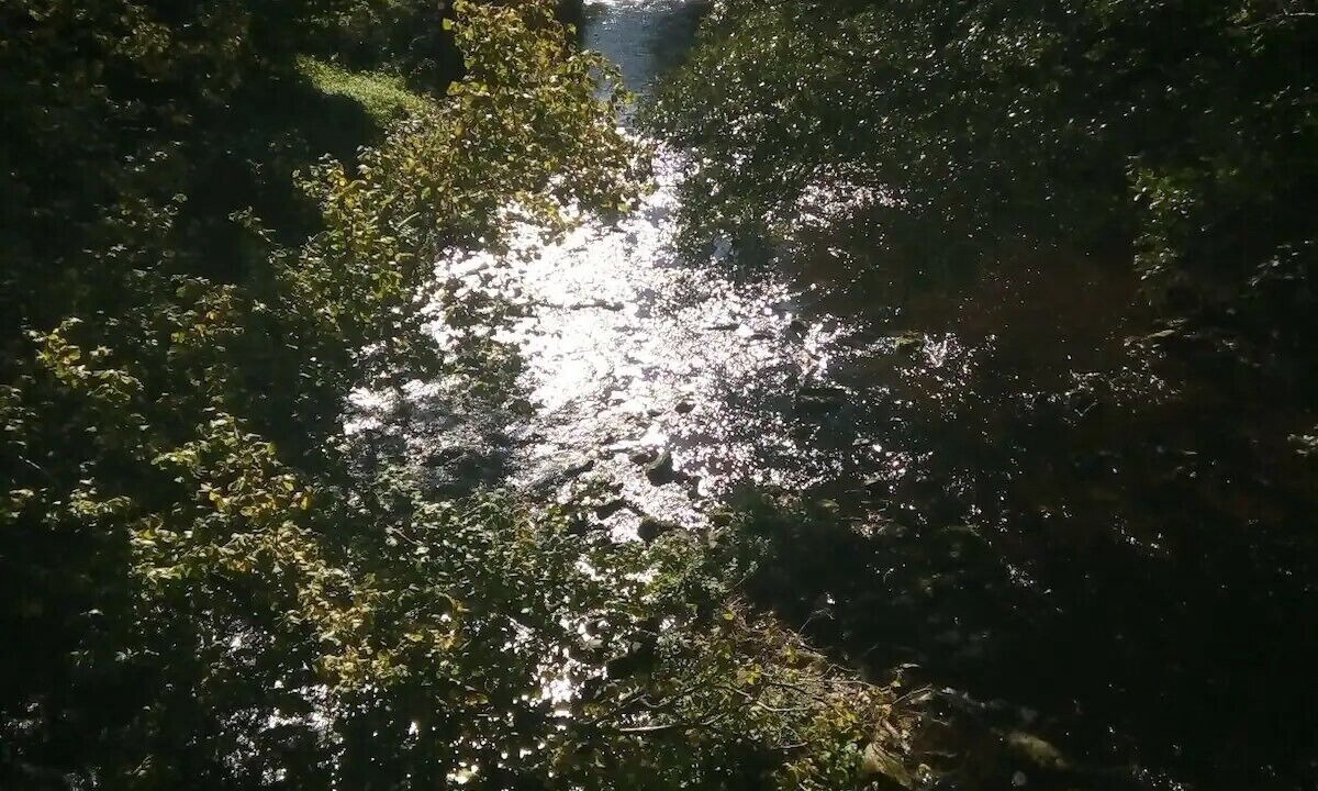 Photo of Others in Allensford