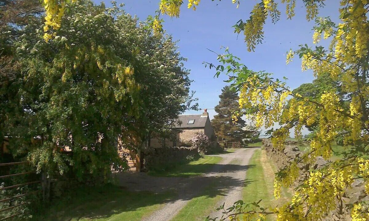 Photo of Others in Allensford