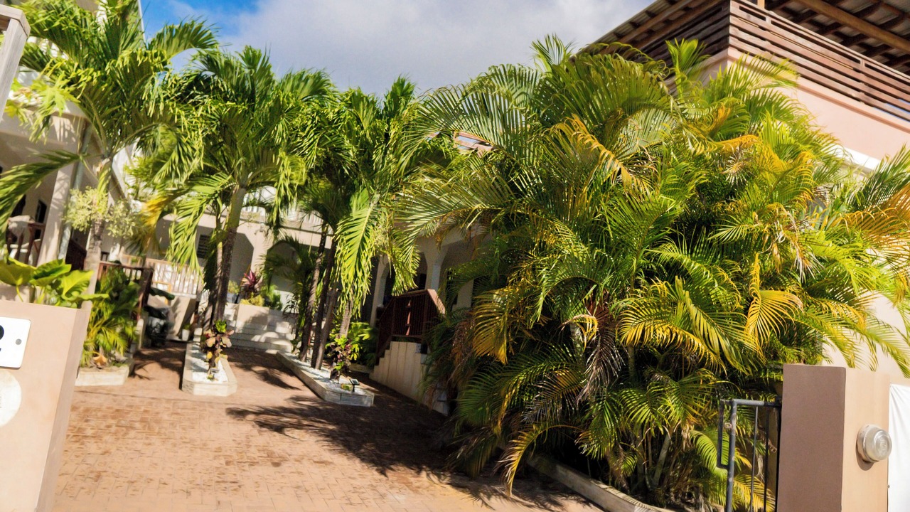 Photo of Outdoor in Oranjestad